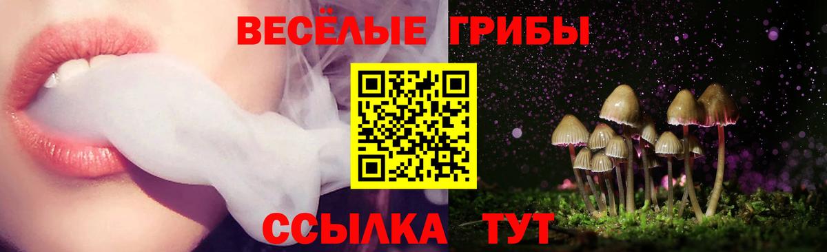 Галлюциногенные грибы Magic Shrooms  Галлюциногенные грибы мицелий  Вход с VPN  Вольск 